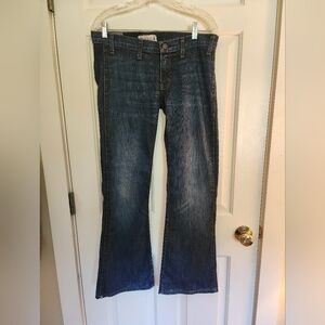 Elizabeth & James Textile Jimi Flare Low Rise Jeans Size 29 Y2k 70s